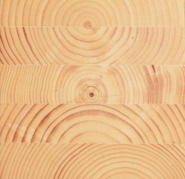 木固めエースの簡単な初歩や基本的な使い方・利用方法・仕様方法・やり方