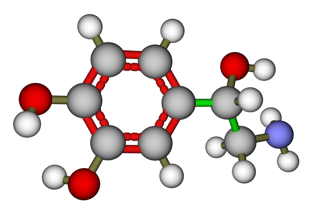 ノルアドレナリンの簡単な初歩や基本的な使い方・利用方法・仕様方法・やり方