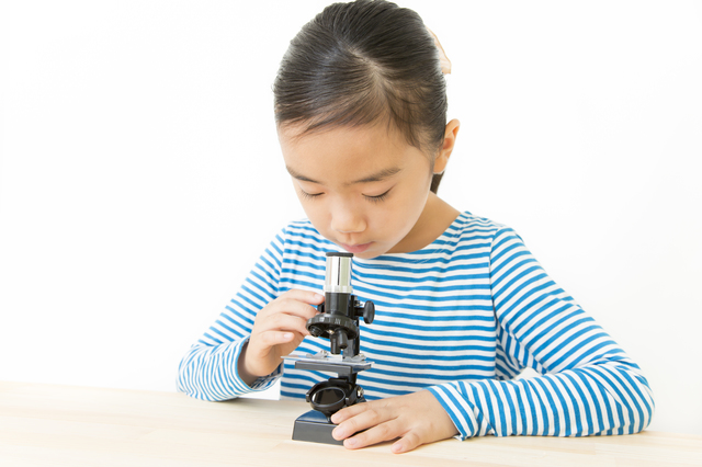 小学校顕微鏡の簡単な初歩や基本的な使い方・利用方法・仕様方法・やり方