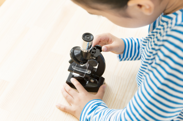 顕微鏡小学校の簡単な初歩や基本的な使い方・利用方法・仕様方法・やり方